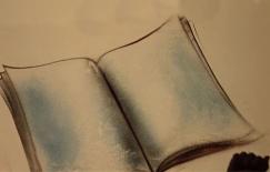 boek-Wolf-Publishers